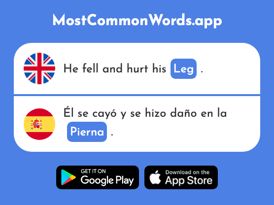 Leg - Pierna (The 776th Most Common Spanish Word)