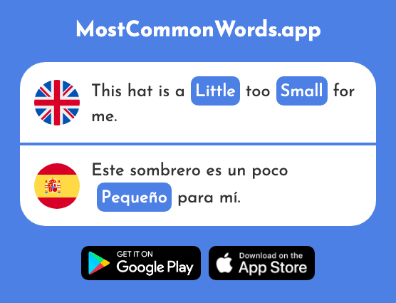 Little, small, young - Pequeño (The 202nd Most Common Spanish Word)