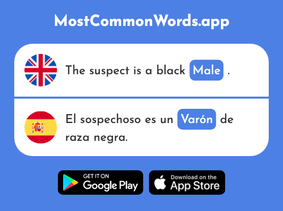 Male, man - Varón (The 2557th Most Common Spanish Word)