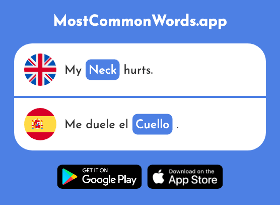 Neck, collar - Cuello (The 1298th Most Common Spanish Word)
