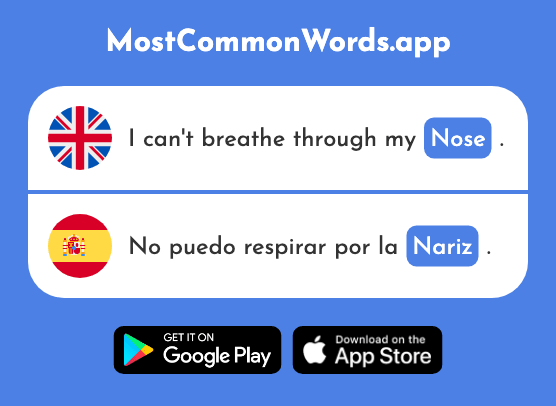 Nose - Nariz (The 1570th Most Common Spanish Word)