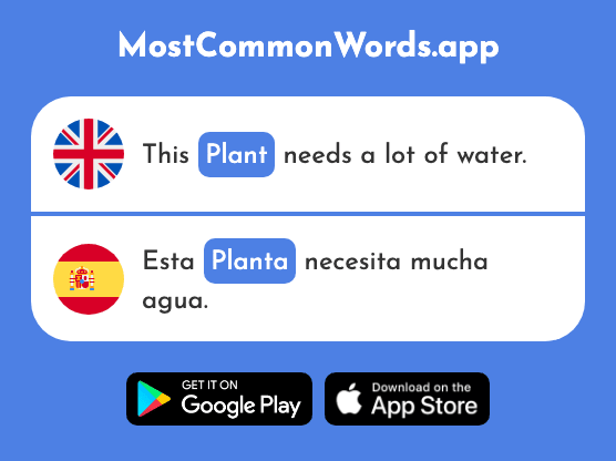 Plant, floor - Planta (The 768th Most Common Spanish Word)