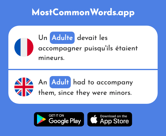 Adulte - Adult (Le 1580 Mot Le Plus Commun En English)