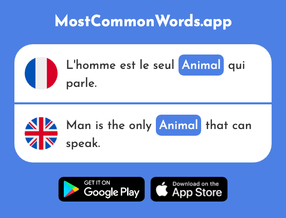 Animal - Animal (Le 1002 Mot Le Plus Commun En English)