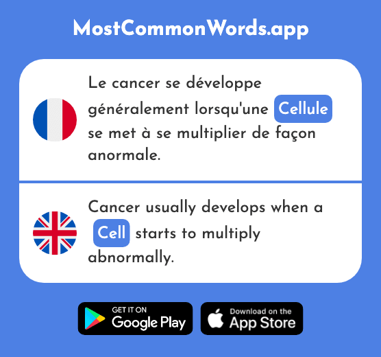 Cellule - Cell (Le 2151 Mot Le Plus Commun En English)