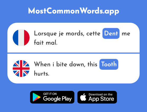 Dent - Tooth (Le 2784 Mot Le Plus Commun En English)