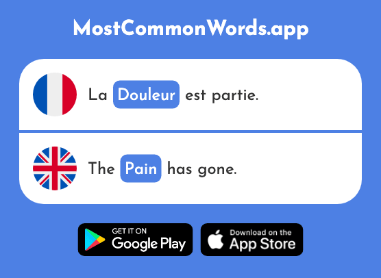 Douleur - Pain (Le 2013 Mot Le Plus Commun En English)