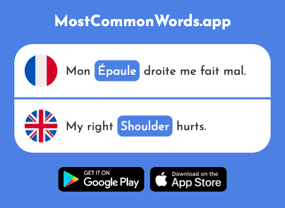 Épaule - Shoulder (Le 2494 Mot Le Plus Commun En English)
