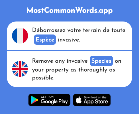 Espèce - Species (Le 1049 Mot Le Plus Commun En English)