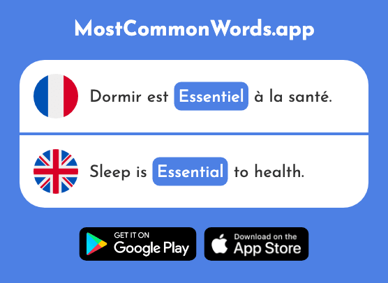 Essentiel - Essential (Le 675 Mot Le Plus Commun En English)