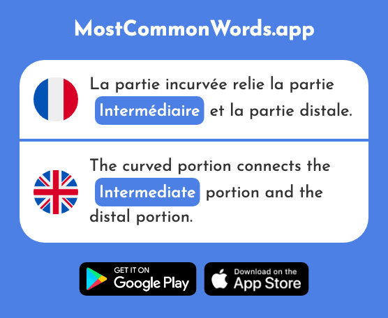Intermédiaire - Intermediate, intermediary (Le 2102 Mot Le Plus Commun En English)