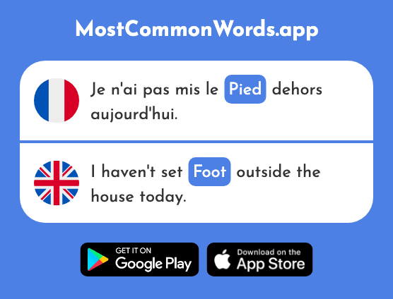 Pied - Foot (Le 626 Mot Le Plus Commun En English)
