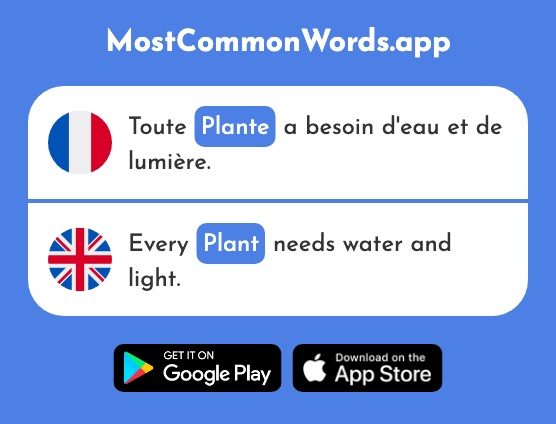 Plante - Plant (Le 2702 Mot Le Plus Commun En English)