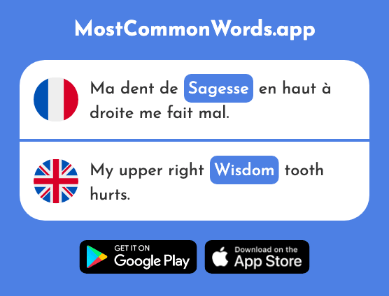 Sagesse - Wisdom, moderation (Le 2998 Mot Le Plus Commun En English)