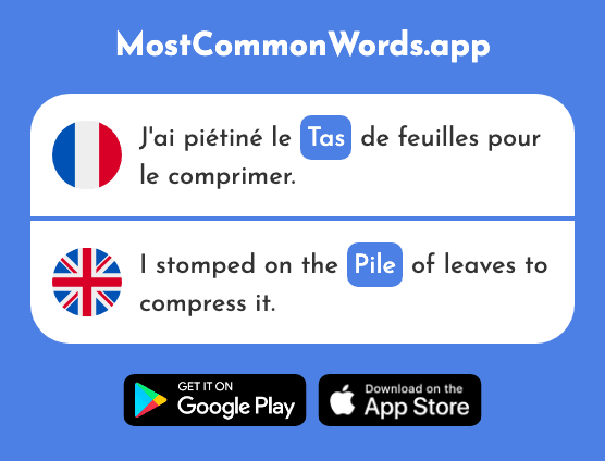 Tas - Pile, lots of (Le 2723 Mot Le Plus Commun En English)