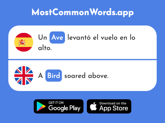 Ave - Bird (La 2086 Palabra Más Común En English)
