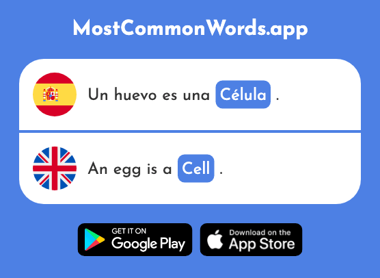 Célula - Cell (La 1361 Palabra Más Común En English)