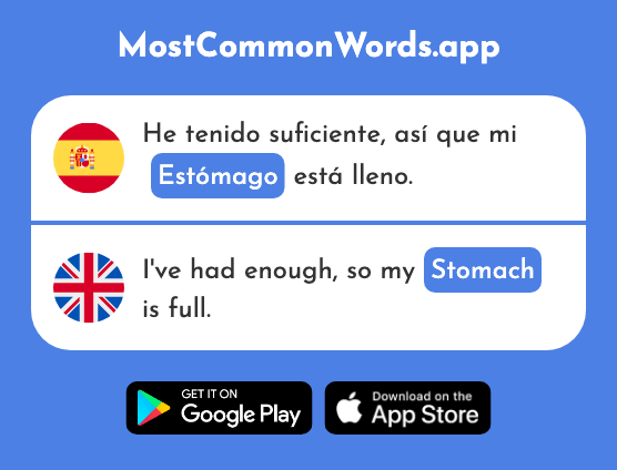 Estómago - Stomach (La 2285 Palabra Más Común En English)