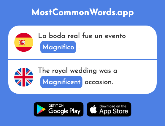 Magnífico - Magnificent, splendid (La 2121 Palabra Más Común En English)