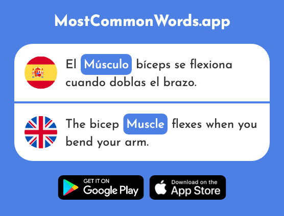 Músculo - Muscle (La 2715 Palabra Más Común En English)