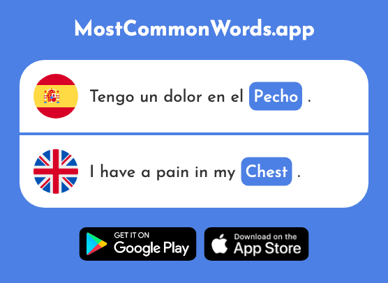 Pecho - Chest, breast (La 971 Palabra Más Común En English)
