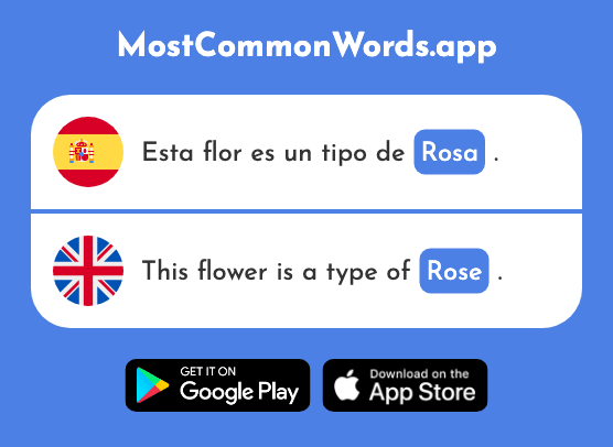 Rosa - Rose (La 1087 Palabra Más Común En English)