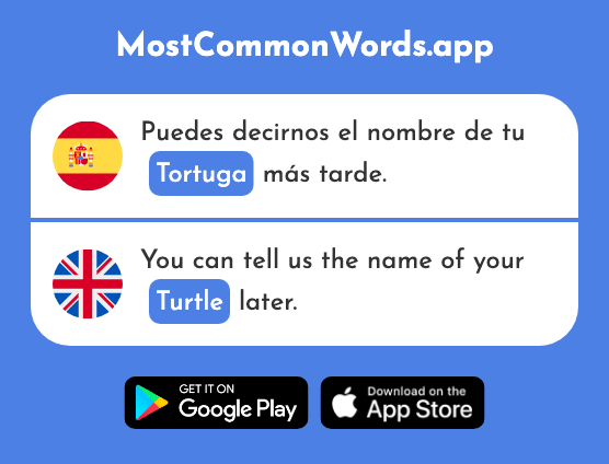 Tortuga - Turtle (La 1009 Palabra Más Común En English)