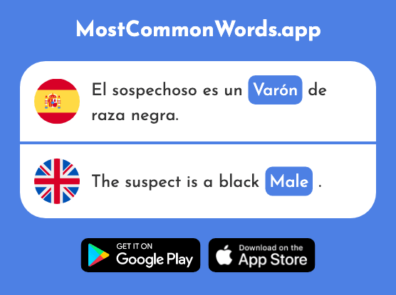 Varón - Male, man (La 2557 Palabra Más Común En English)